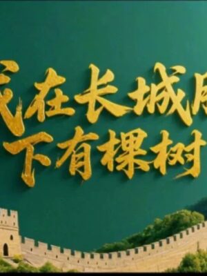 我在长城脚下有棵树