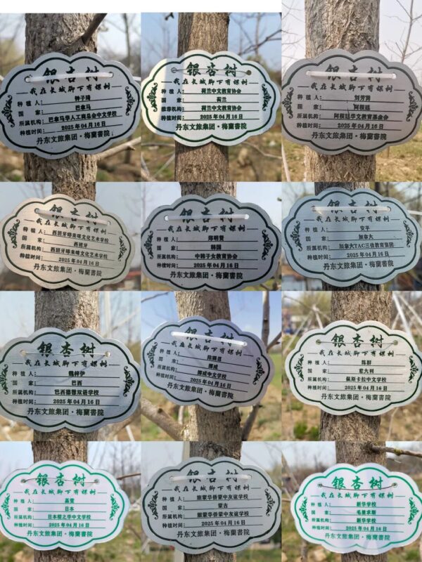 我在长城脚下有棵树